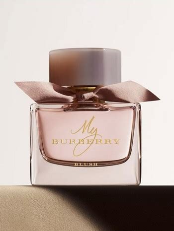 my burberry perfume south africa|my burberry perfume boots.